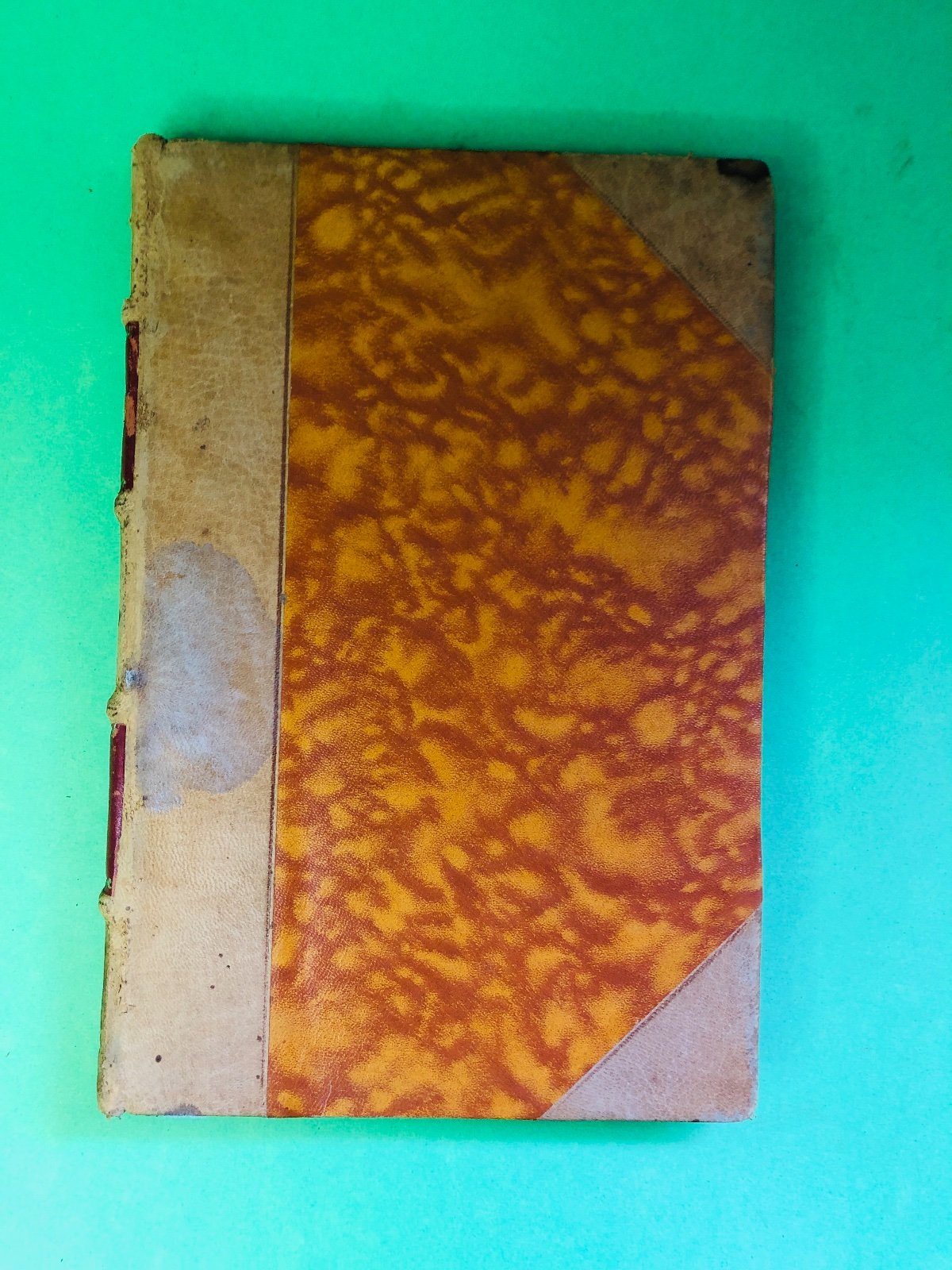 Segunda imagem