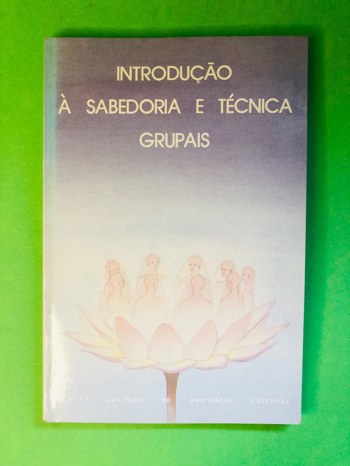 INTRODUÇÃO À SABEDORIA E TÉCNICA GRUPAIS