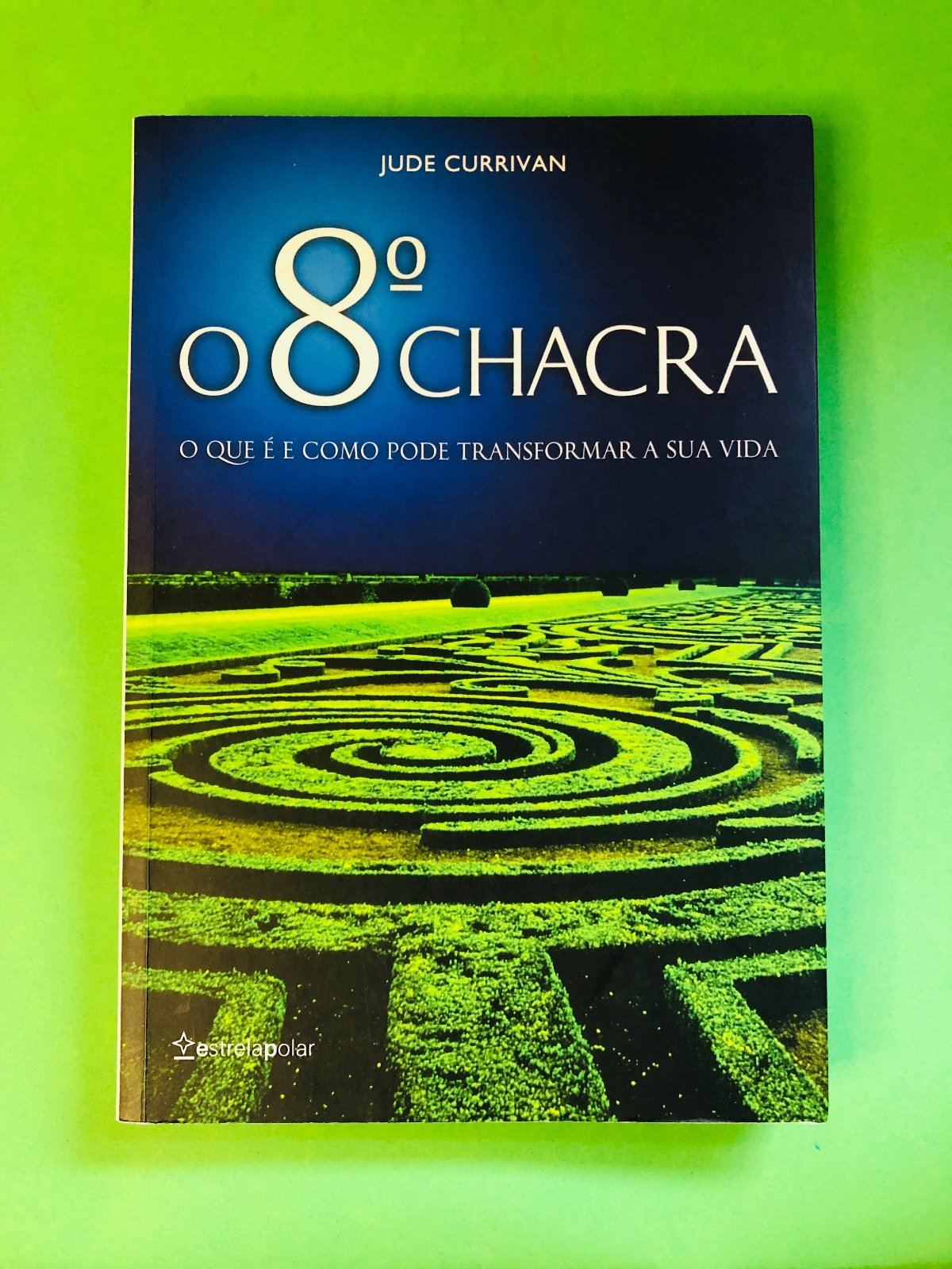 o 8º CHACRA - JUDE CURRIVAN