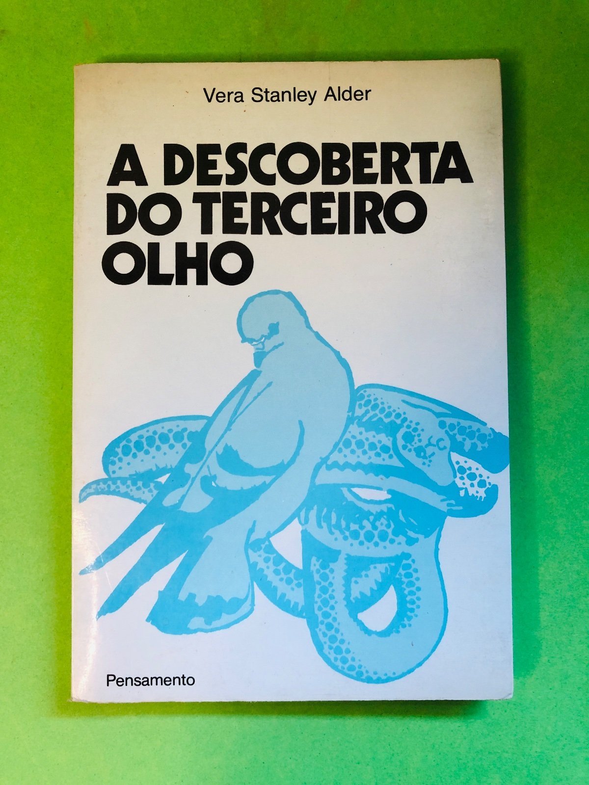 A DESCOBERTA DO TERCEIRO OLHO - Vera Stanley Alder