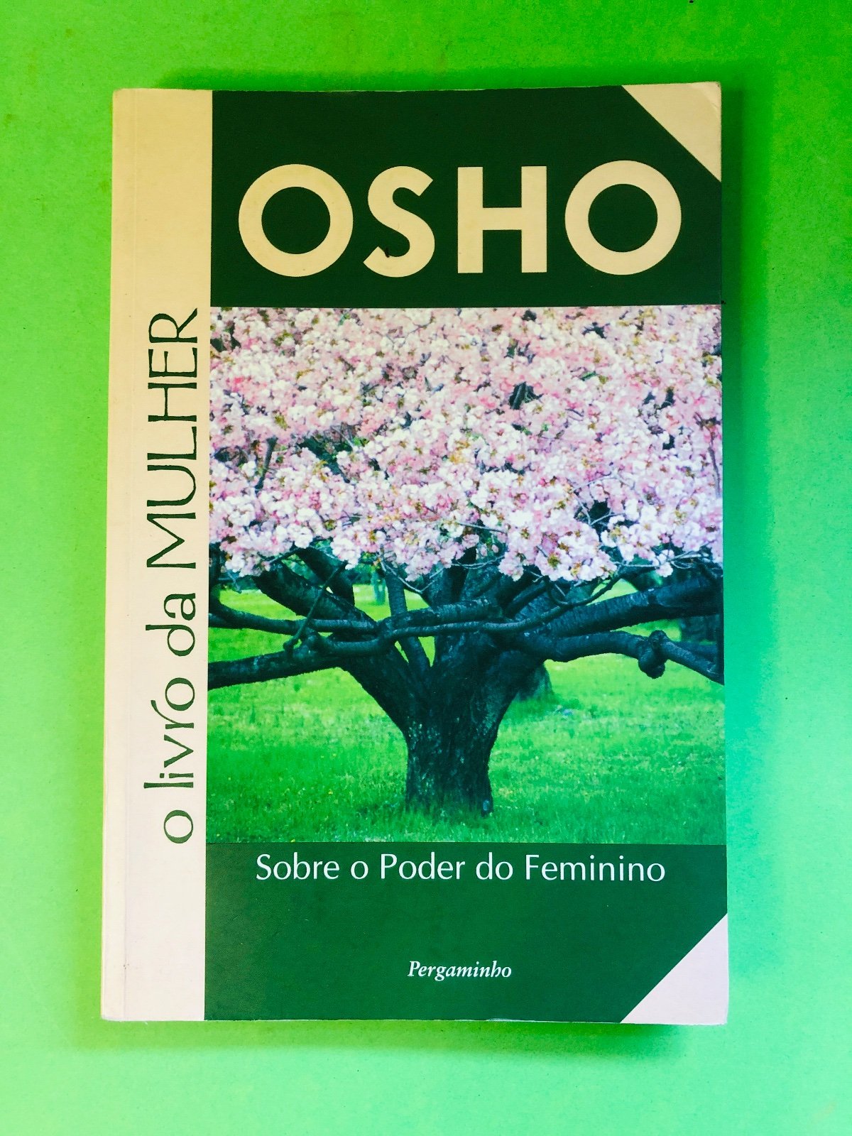 o livro da MULHER - OSHO