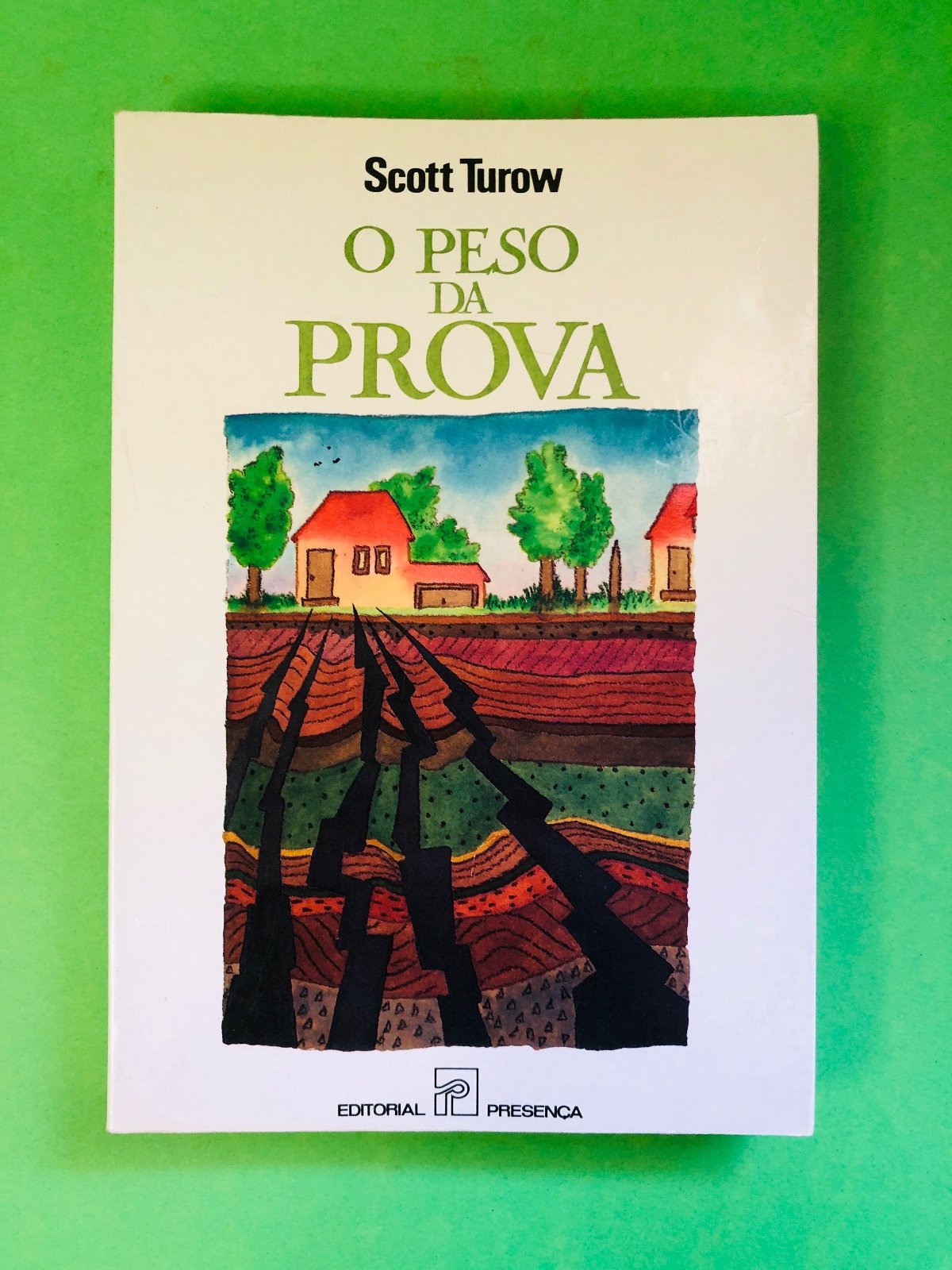 O PESO DA PROVA - Scott Turow