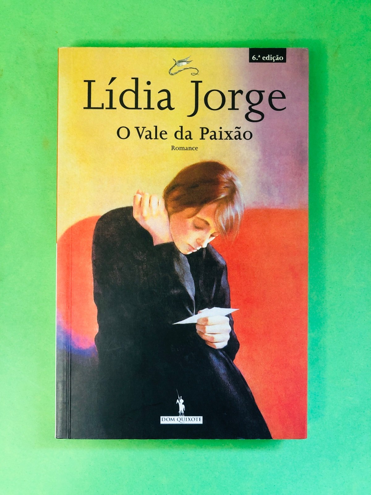 O Vale da Paixão - Lídia Jorge