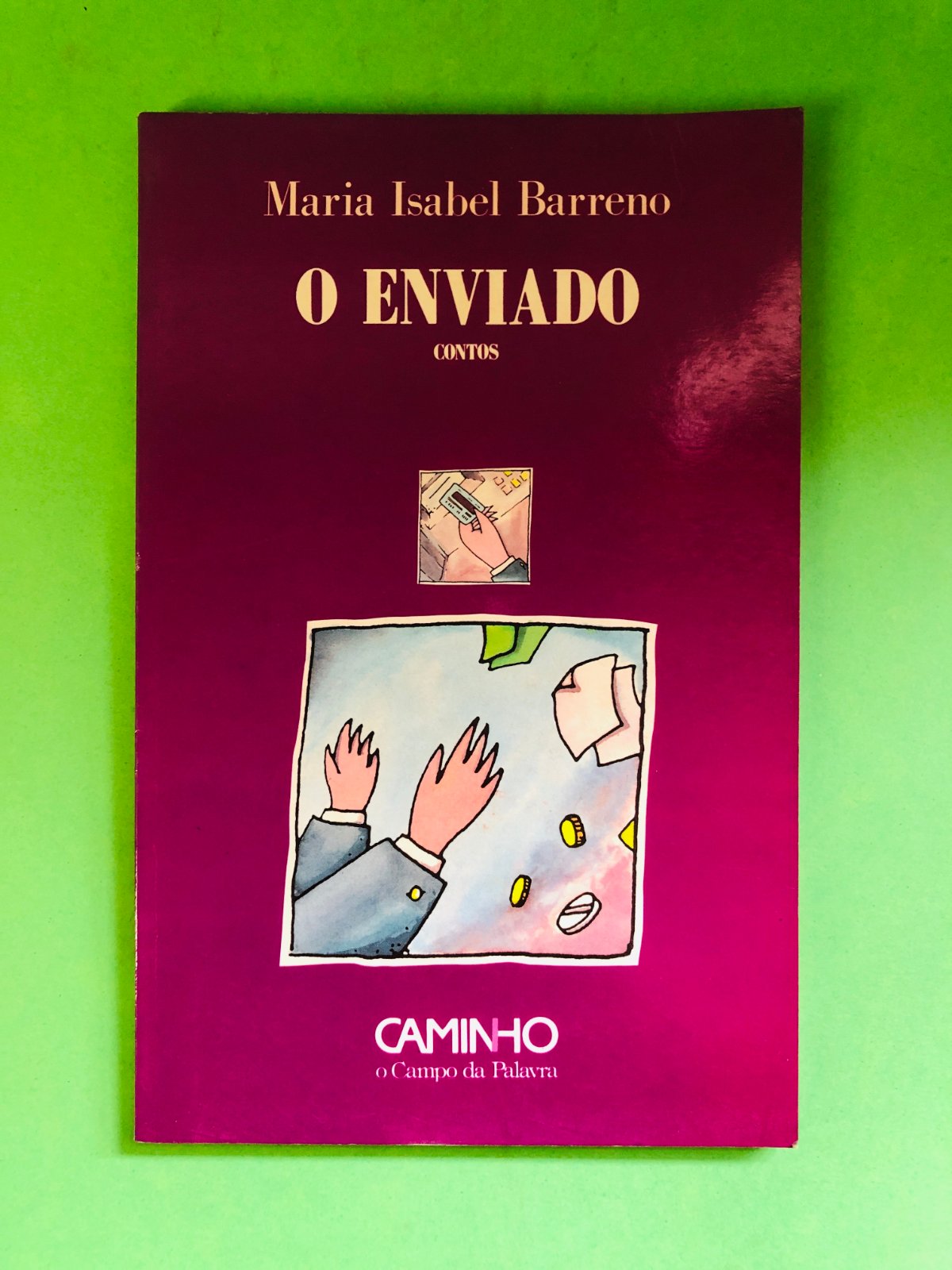 O Enviado - Maria Isabel Barreno