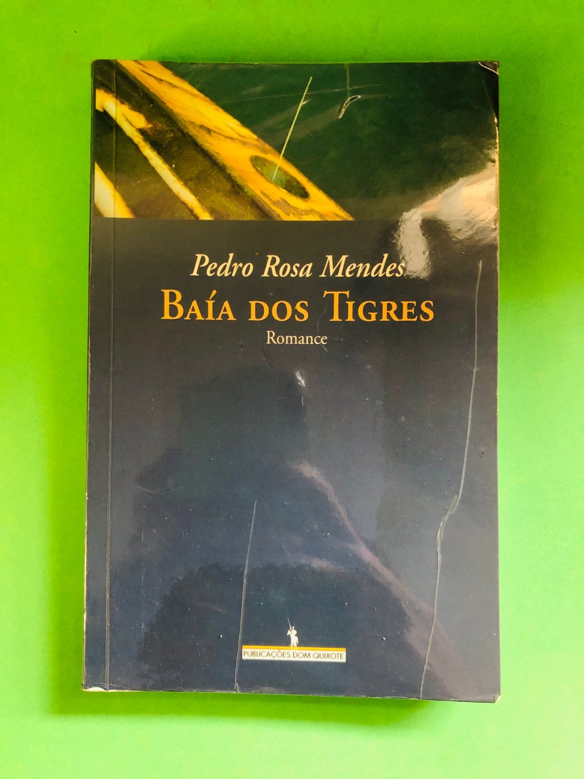 Baía dos Tigres - Pedro Rosa Mendes