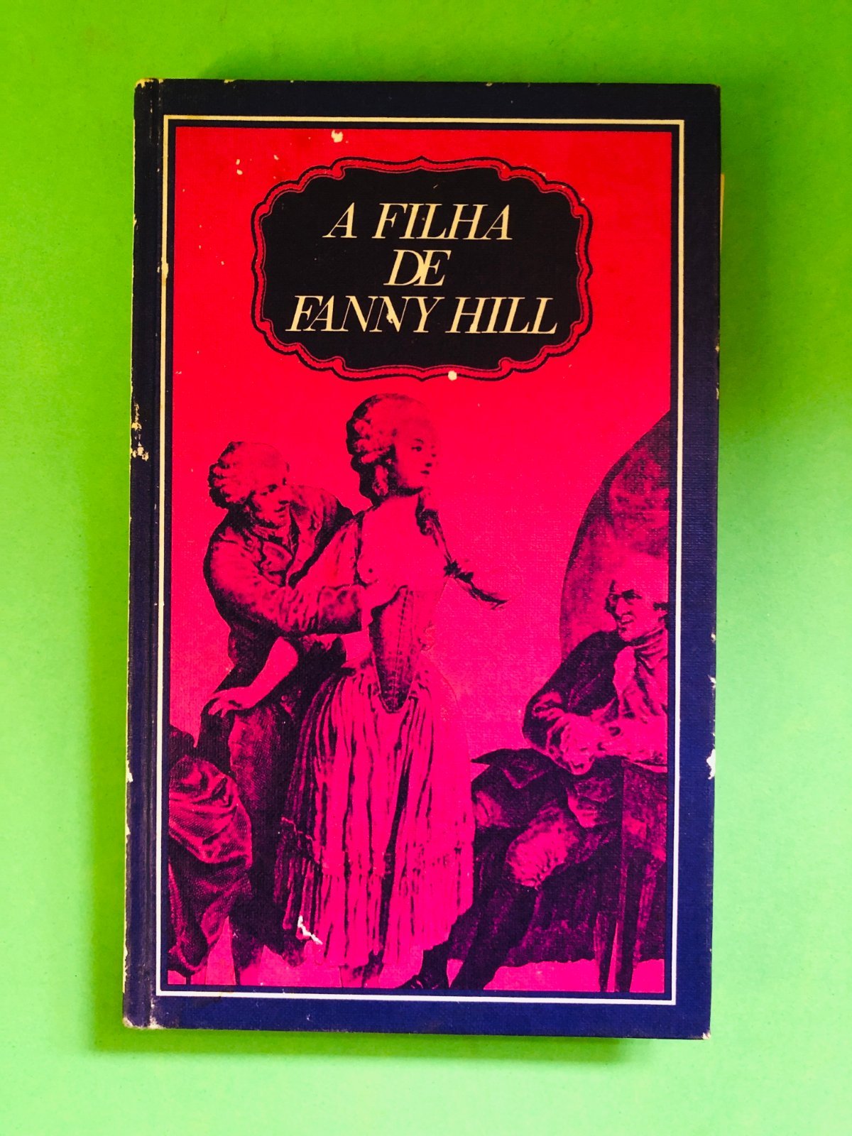 A Filha de Fanny Hill
