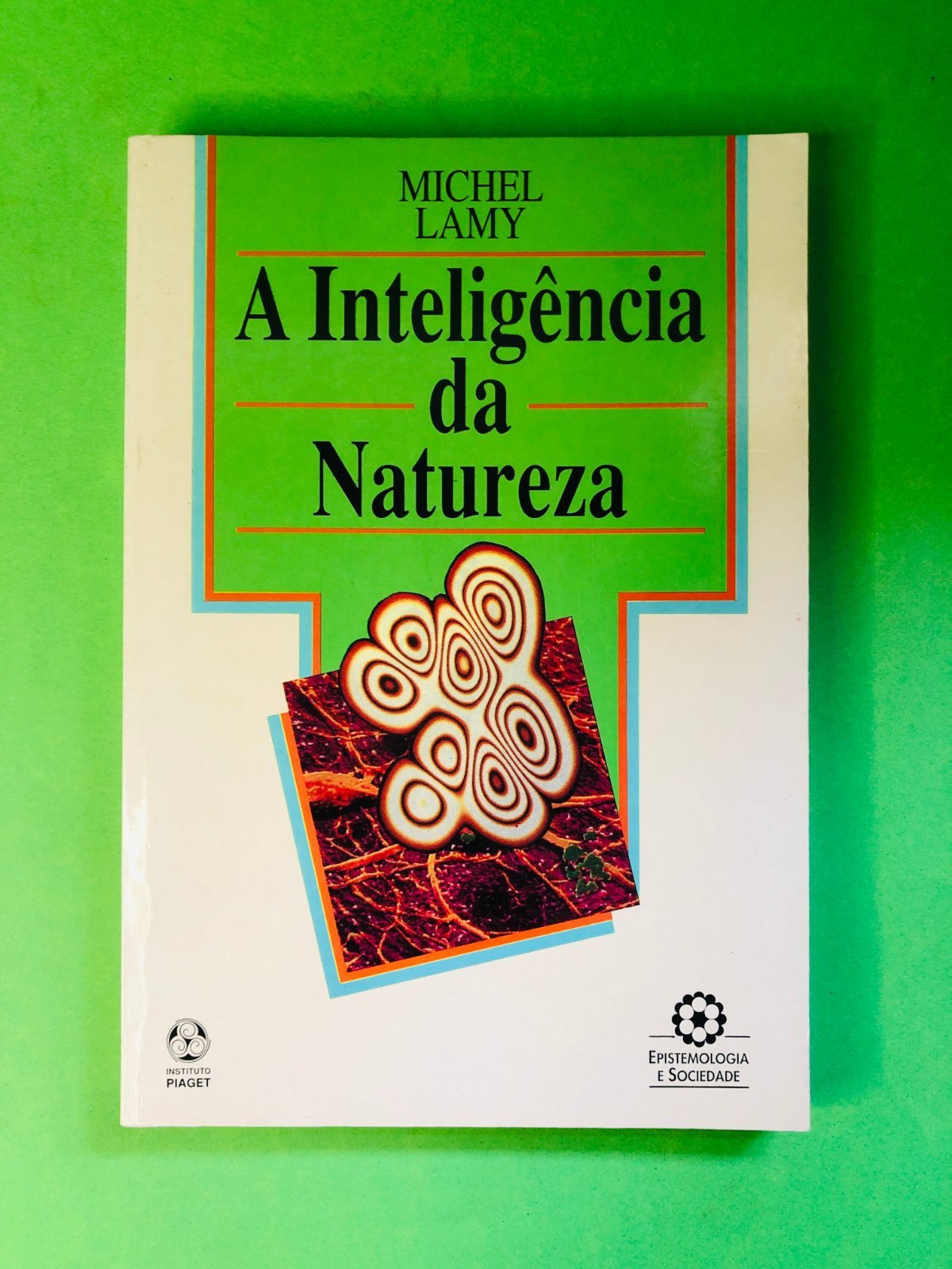 A Inteligência da Natureza - MICHEL LAMY