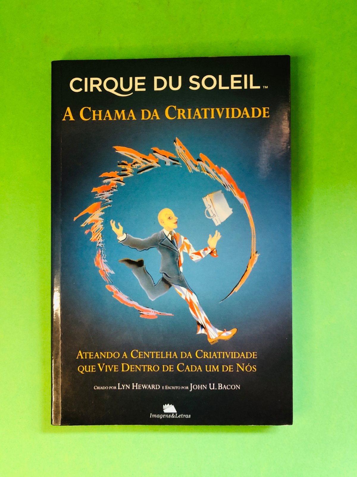 A CHAMA DA CRIATIVIDADE - Lyn Heward