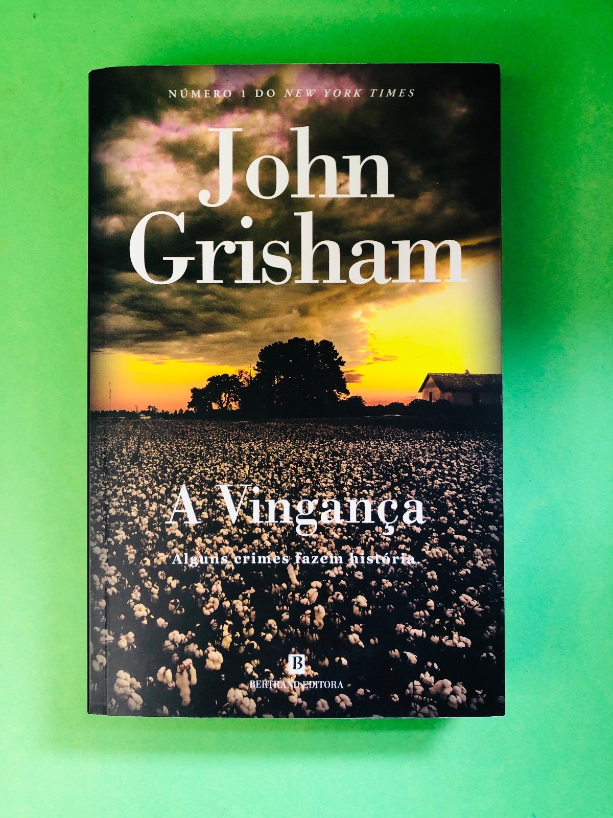 A Vingança - John Grisham