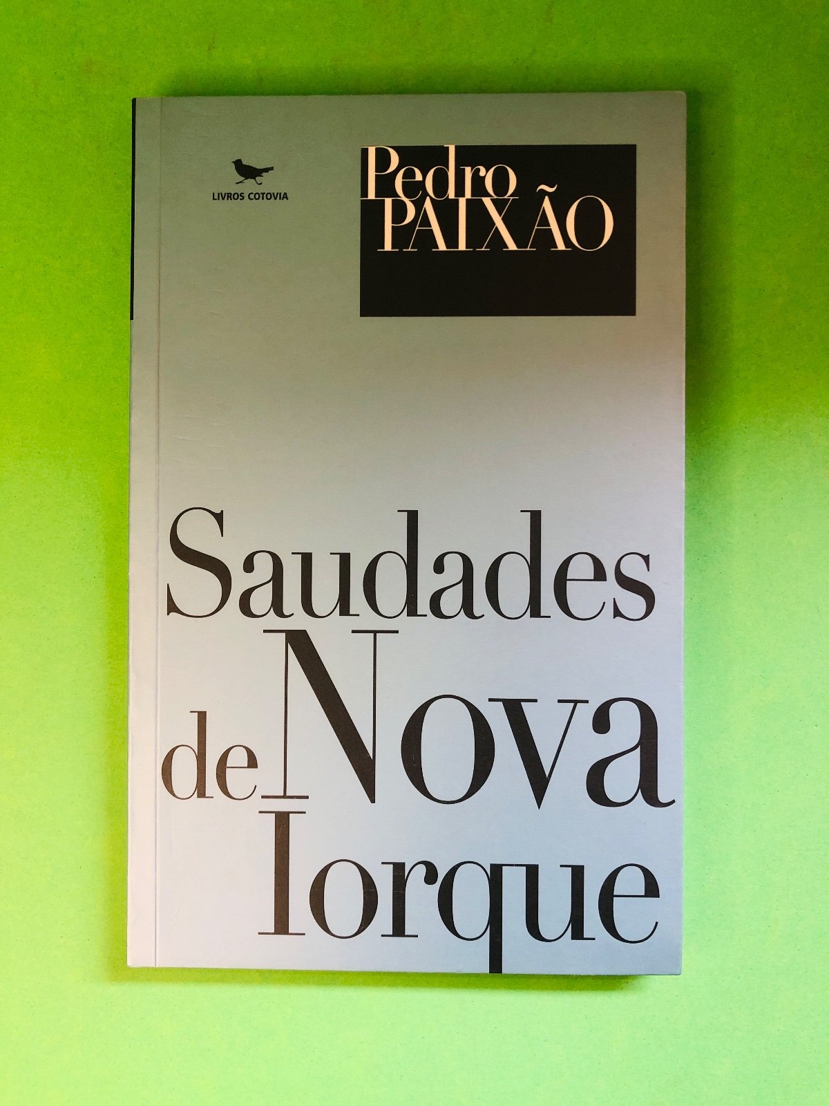 Saudades de Nova Iorque - Pedro Paixão