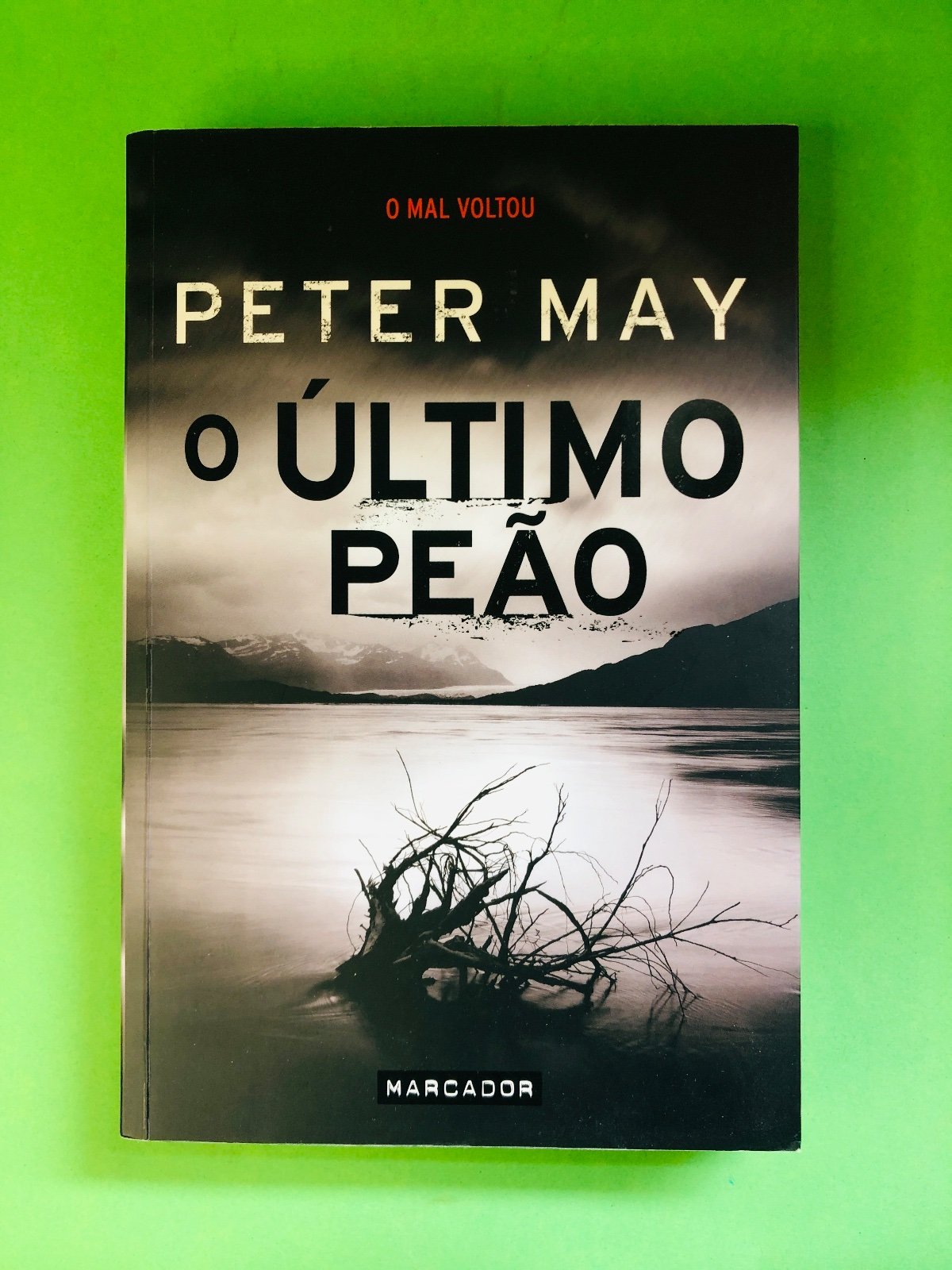o ÚLTIMO PEÃO - PETER MAY