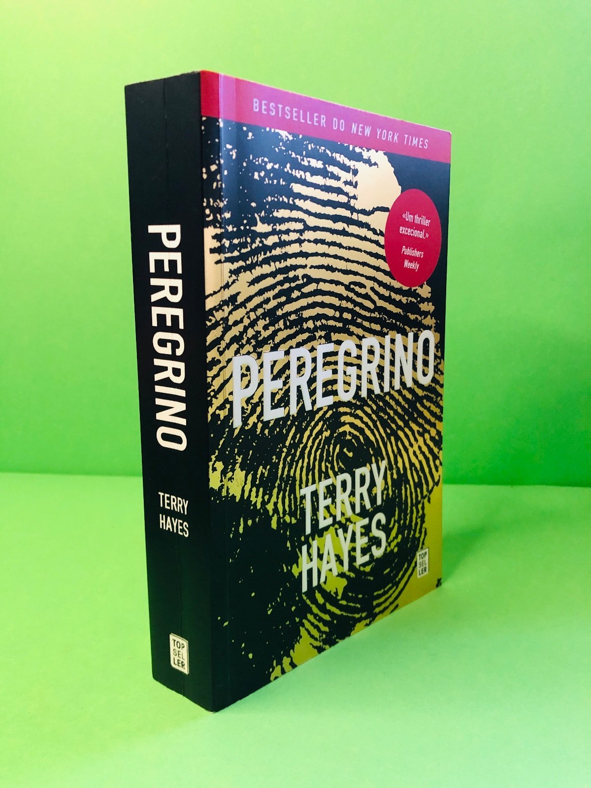 Peregrino - Terry Hayes