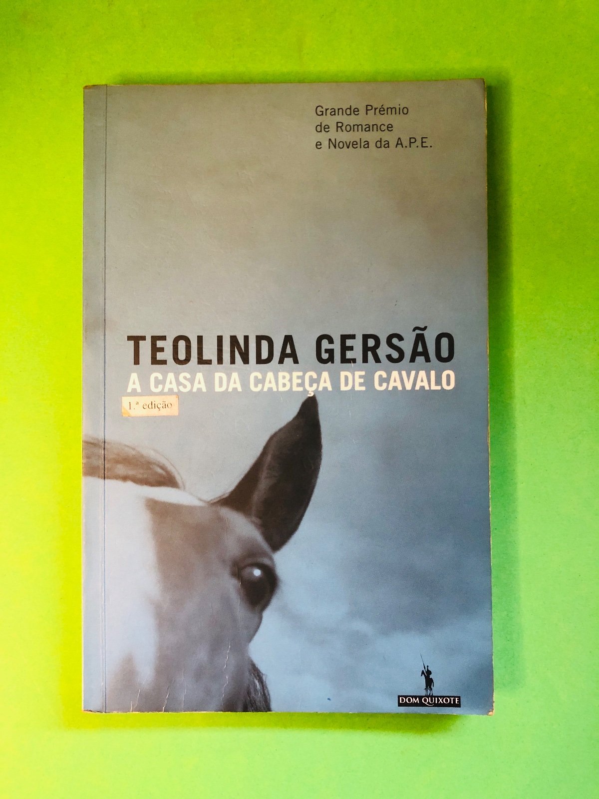 A CASA DA CABEÇA DE CAVALO - TEOLINDA GERSÃO