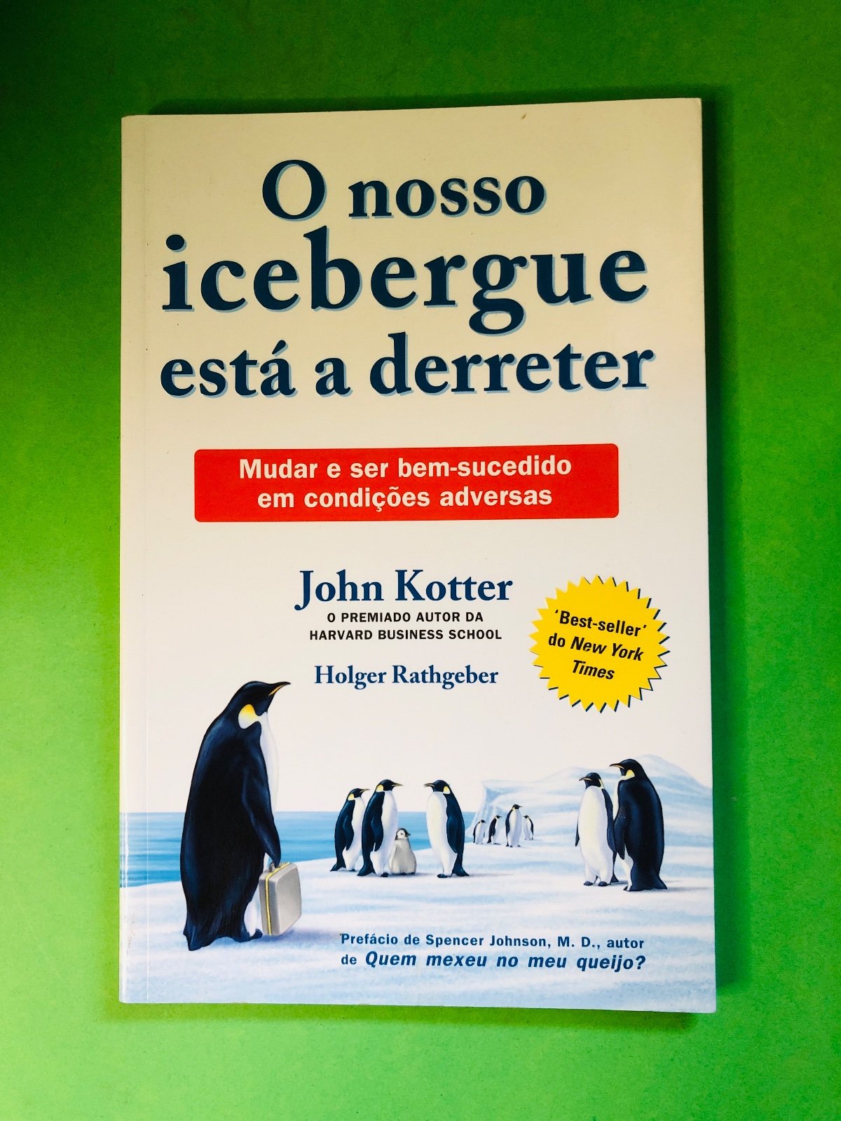 O nosso icebergue está a derreter - John Kotter, Holger Rathgeber
